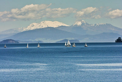 Taupo.jpg