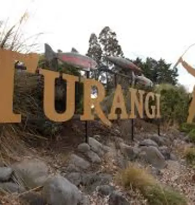 Turangi